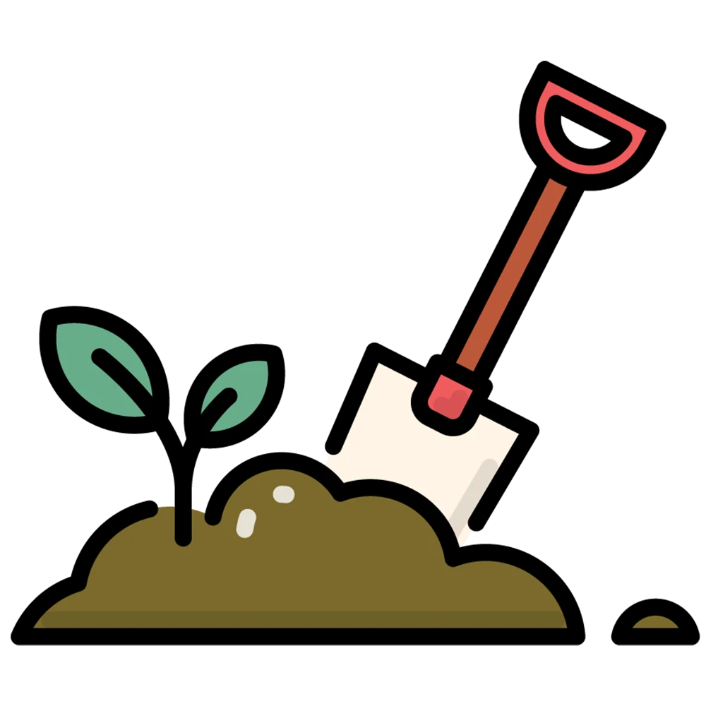 Plant the seed